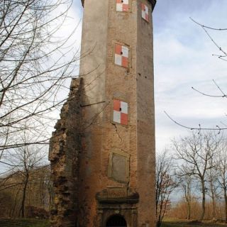 Die erhaltenen Reste des Burgstall Oberschlosses - Burgstall Oberschloss bei Castell in der ErlebnisRegion Steigerwald