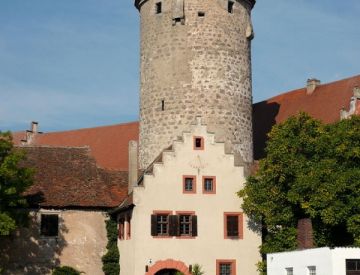 Burgen / Schlösser - Burg Lisberg